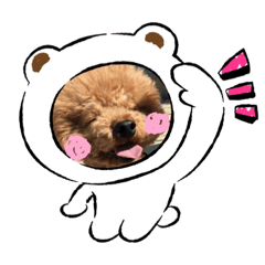 [LINEスタンプ] コハクちゃん2