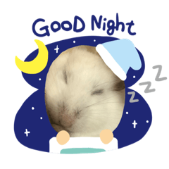 [LINEスタンプ] はすかちゃん