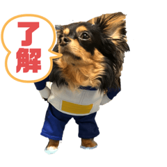 [LINEスタンプ] Milly 5