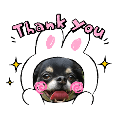 [LINEスタンプ] ヴィッツ in フレーム