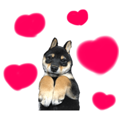 [LINEスタンプ] KEN FU