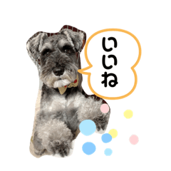 [LINEスタンプ] シュナンプ2