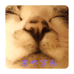 [LINEスタンプ] モフるがよい