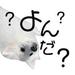 [LINEスタンプ] ゆきちくん❷