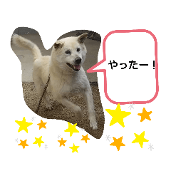 [LINEスタンプ] ブーのスタンプ(^o^)3