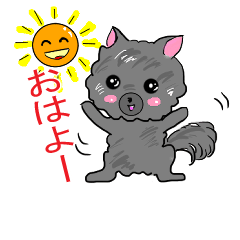 [LINEスタンプ] 黒ポメ、ココの挨拶スタンプの画像（メイン）