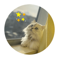 [LINEスタンプ] うちのだにえる君