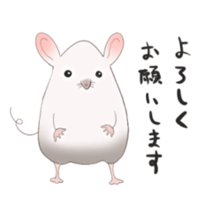 [LINEスタンプ] タマネズミ