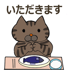 [LINEスタンプ] 猫ちゃんがいっぱい 日常メッセージ