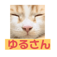 [LINEスタンプ] ふて猫ちくりん