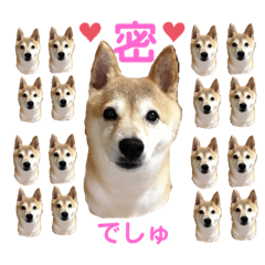 [LINEスタンプ] 天使のくっくちゃん2