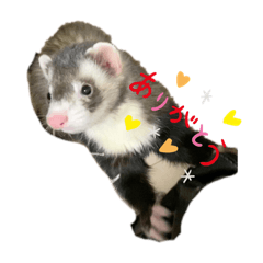 [LINEスタンプ] ちくわ＆あずき