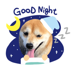 [LINEスタンプ] しゃんまめブラザーズ