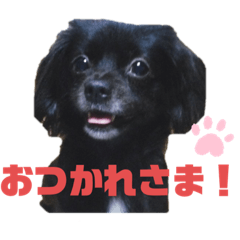 [LINEスタンプ] ゆいちゃん✩︎⡱part2