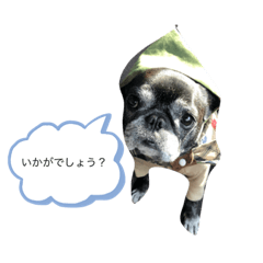 [LINEスタンプ] BUHI BUHI ダリア