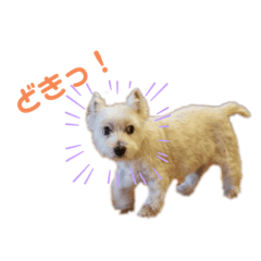 [LINEスタンプ] ウェスティみるきーちゃん③
