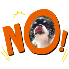 [LINEスタンプ] あられです