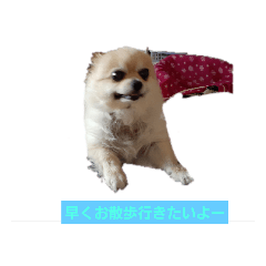 [LINEスタンプ] 愛猫ラムスタンプ3