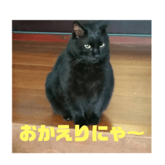 [LINEスタンプ] クロネコジジチャン