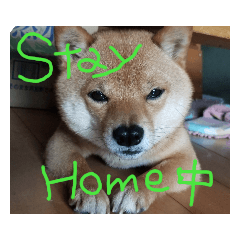 [LINEスタンプ] カイのスタンプ2