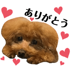 [LINEスタンプ] 毎日にトイプードルを♡②