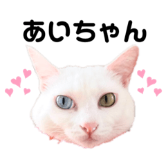 [LINEスタンプ] あいころりんスタンプ♡♡