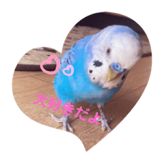 [LINEスタンプ] ピャぽぴゃーぽと花こしゃんろんのスタンプ