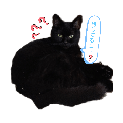 [LINEスタンプ] デビルリンダちゃん