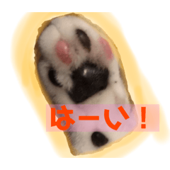 [LINEスタンプ] やまみんミックス