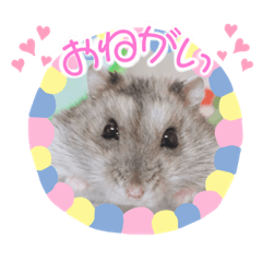 [LINEスタンプ] もちまる◎
