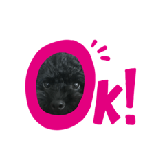 [LINEスタンプ] ここのぶのスタンプ