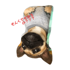[LINEスタンプ] だいずぅう
