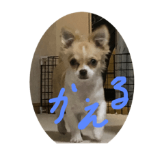 [LINEスタンプ] はるちゃん 初回版 その1