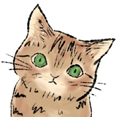 [LINEスタンプ] ねこねこねこねこ スタンプ