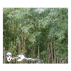 [LINEスタンプ] ねこまる(ФωФ)87
