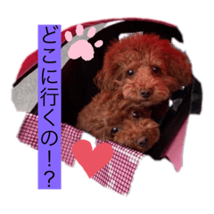 [LINEスタンプ] アロンとサナの生活