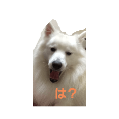 [LINEスタンプ] さんて君