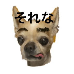[LINEスタンプ] 僕の名前は次郎