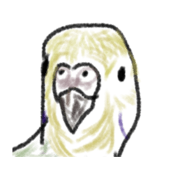 [LINEスタンプ] インコのもえたろ