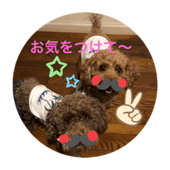 [LINEスタンプ] ジェイくんとルーくん❤︎