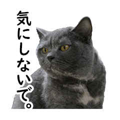 [LINEスタンプ] るん嬢の日常