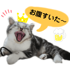 [LINEスタンプ] noeltomiky