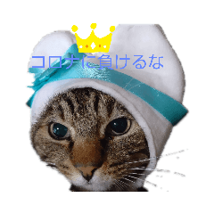 [LINEスタンプ] ねこなり