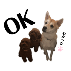 [LINEスタンプ] おさつと愉快な仲間たち♪