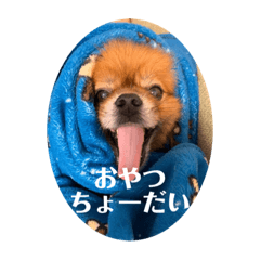 [LINEスタンプ] らんとくまを愛する人のスタンプ