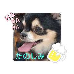 [LINEスタンプ] みみまろ