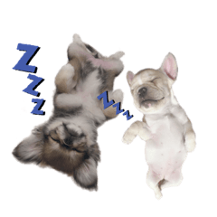 [LINEスタンプ] むぎとまろん2