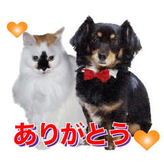 [LINEスタンプ] 我が家の可愛いワンニャンスタンプ