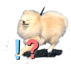 [LINEスタンプ] プウ太郎(2)
