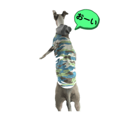 [LINEスタンプ] イタグレ(COW)2